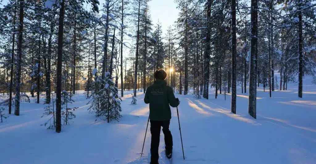 Best 11 Things to Do in Rovaniemi