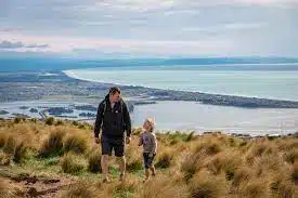 15 Top Wellington Tourist Attractions