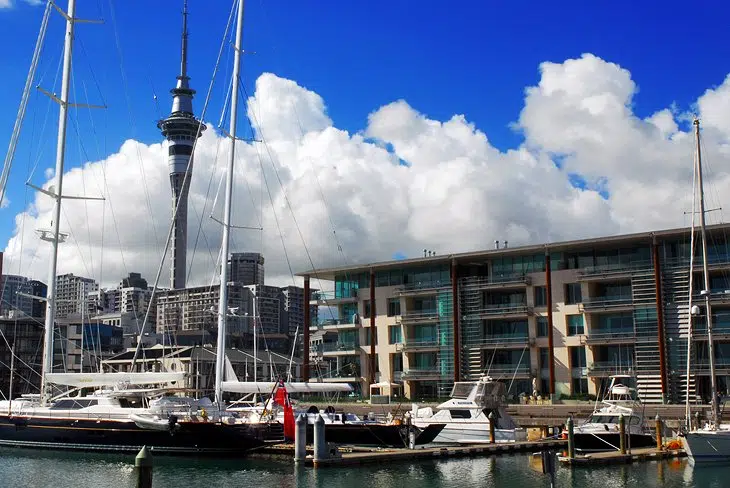 Tourists in Auckland