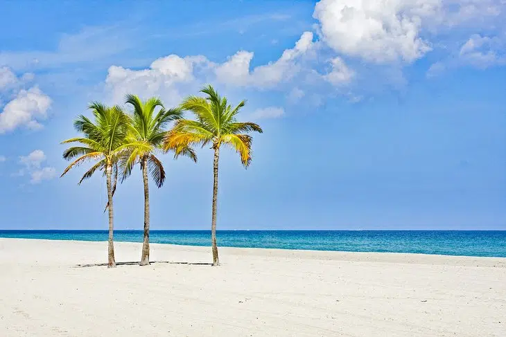 Florida's Beaches