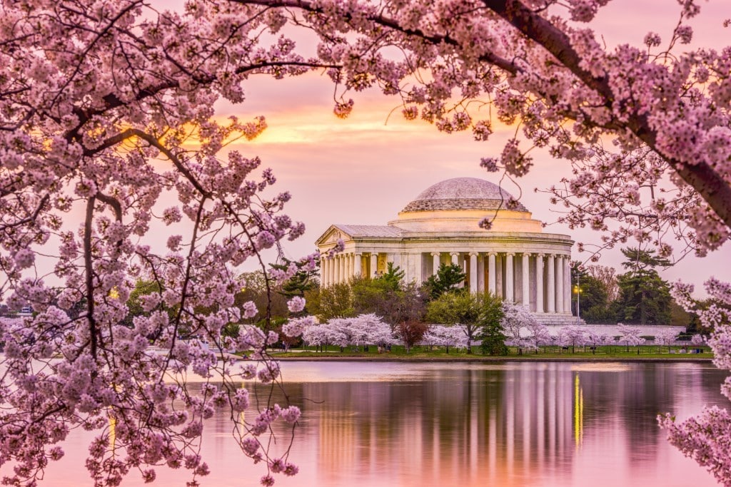 Best Time to Visit Washington D.C.