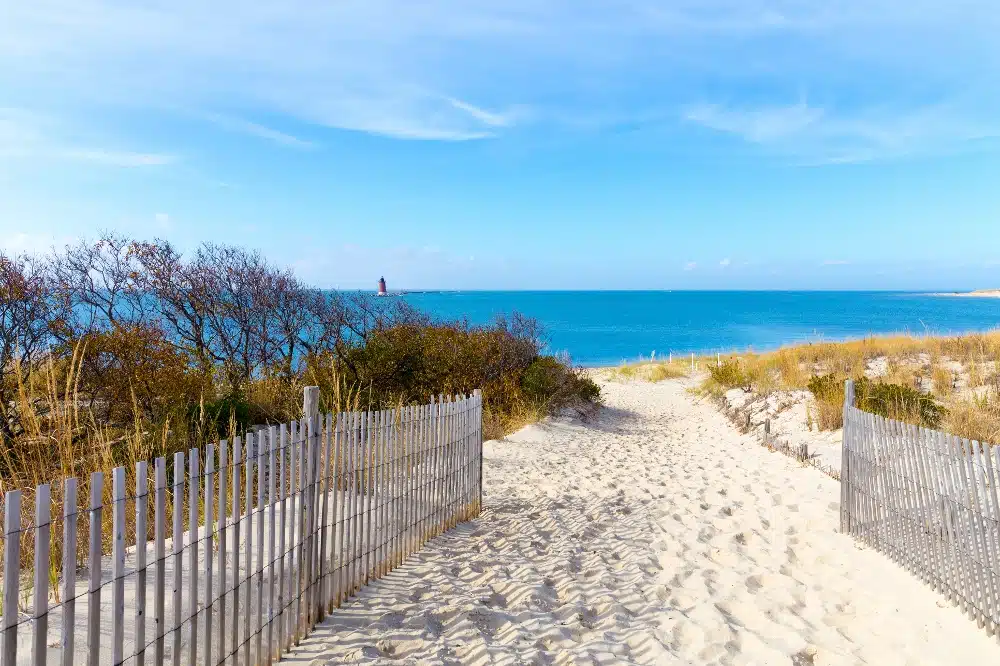 Top-rated beaches in Delaware