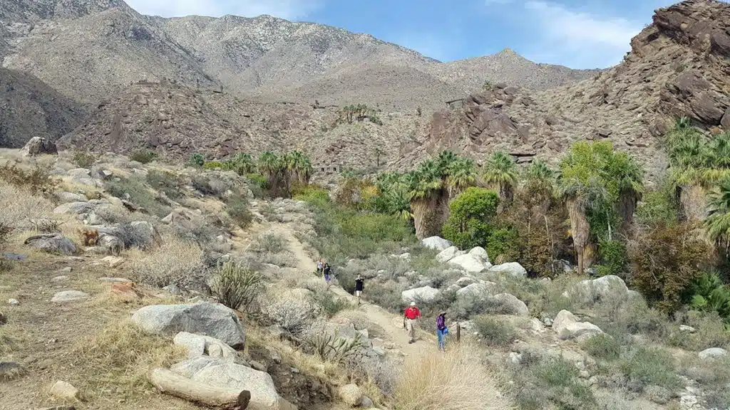 Top attractions and things to do in Palm Springs