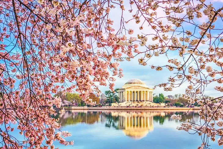 8 Best Parks in Washington D.C.