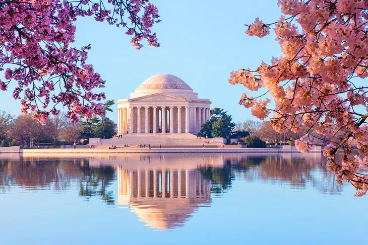 19 Beautiful places to take a photo in Washington D.C.