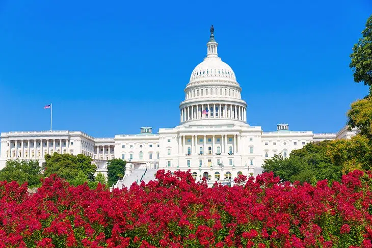 19 Beautiful places to take a photo in Washington D.C.