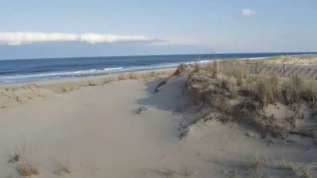Beaches in Delaware