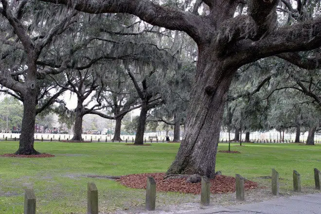 Daffin Park in Savannah Georgia: All You Need to Know Before You Go