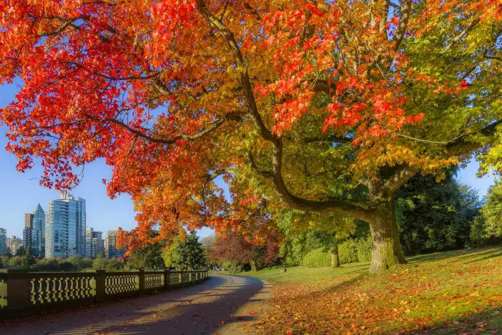 things to do in vancouver canada in october